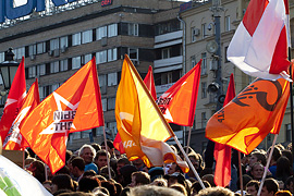 Митинг в защиту химкинского леса